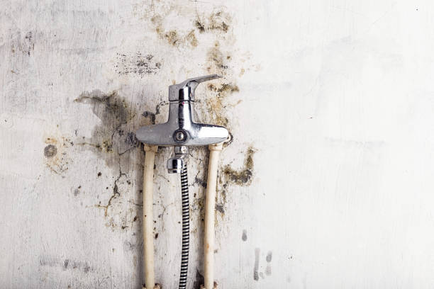 Best HVAC Mold Remediation in Snellville, GA