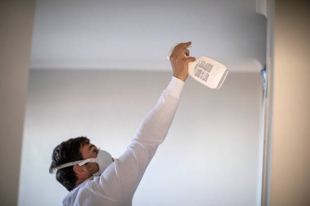 Best Post-Flood Mold Remediation in Snellville, GA